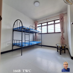 Blk 166B Teck Whye Crest (Choa Chu Kang), HDB 3 Rooms #425988361
